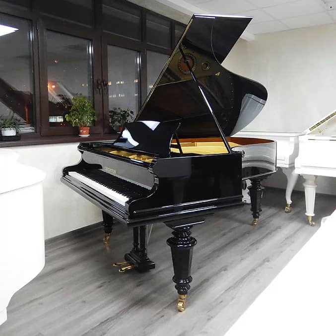 C. Bechstein C-220