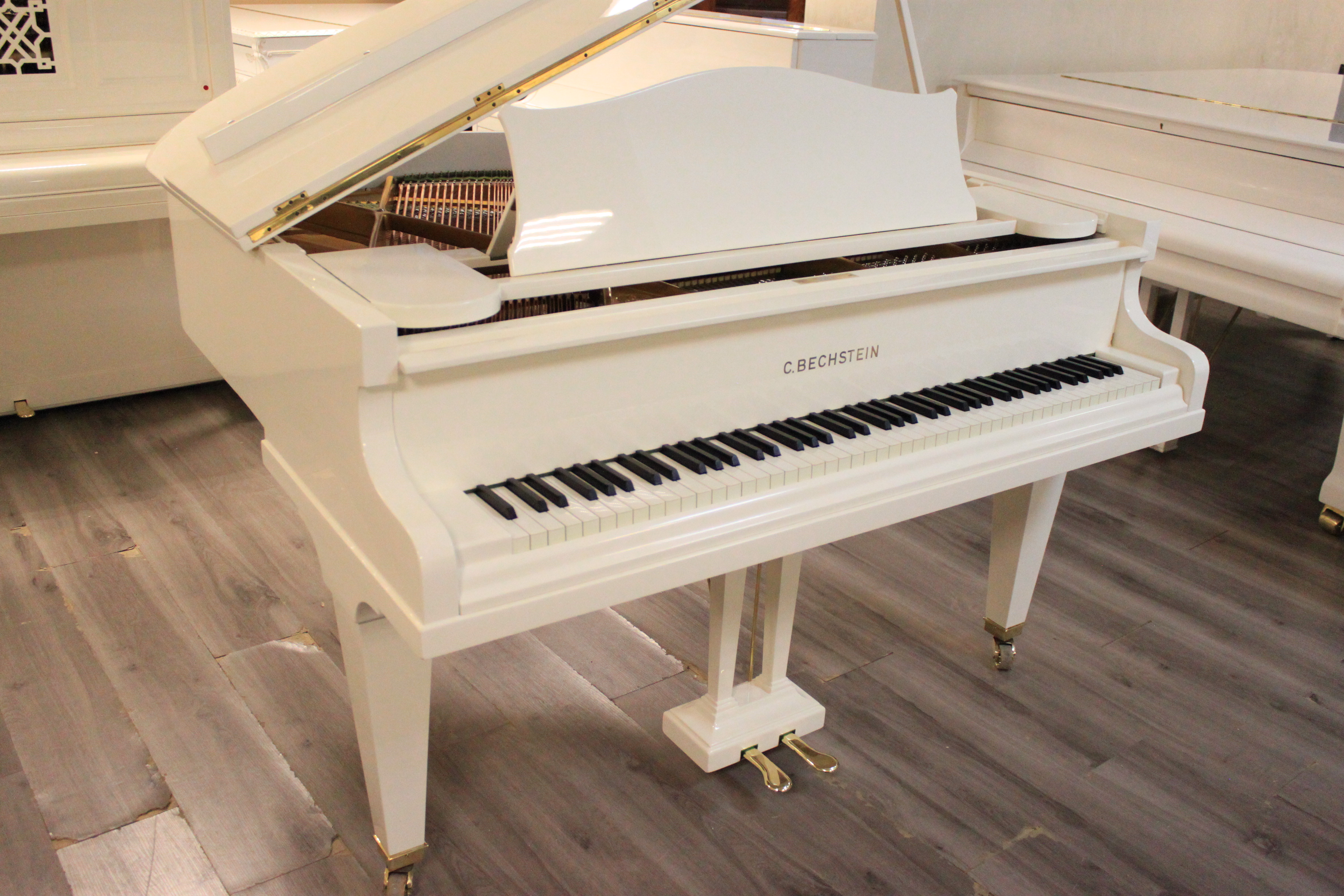 Кабинетный К. Бехштейн