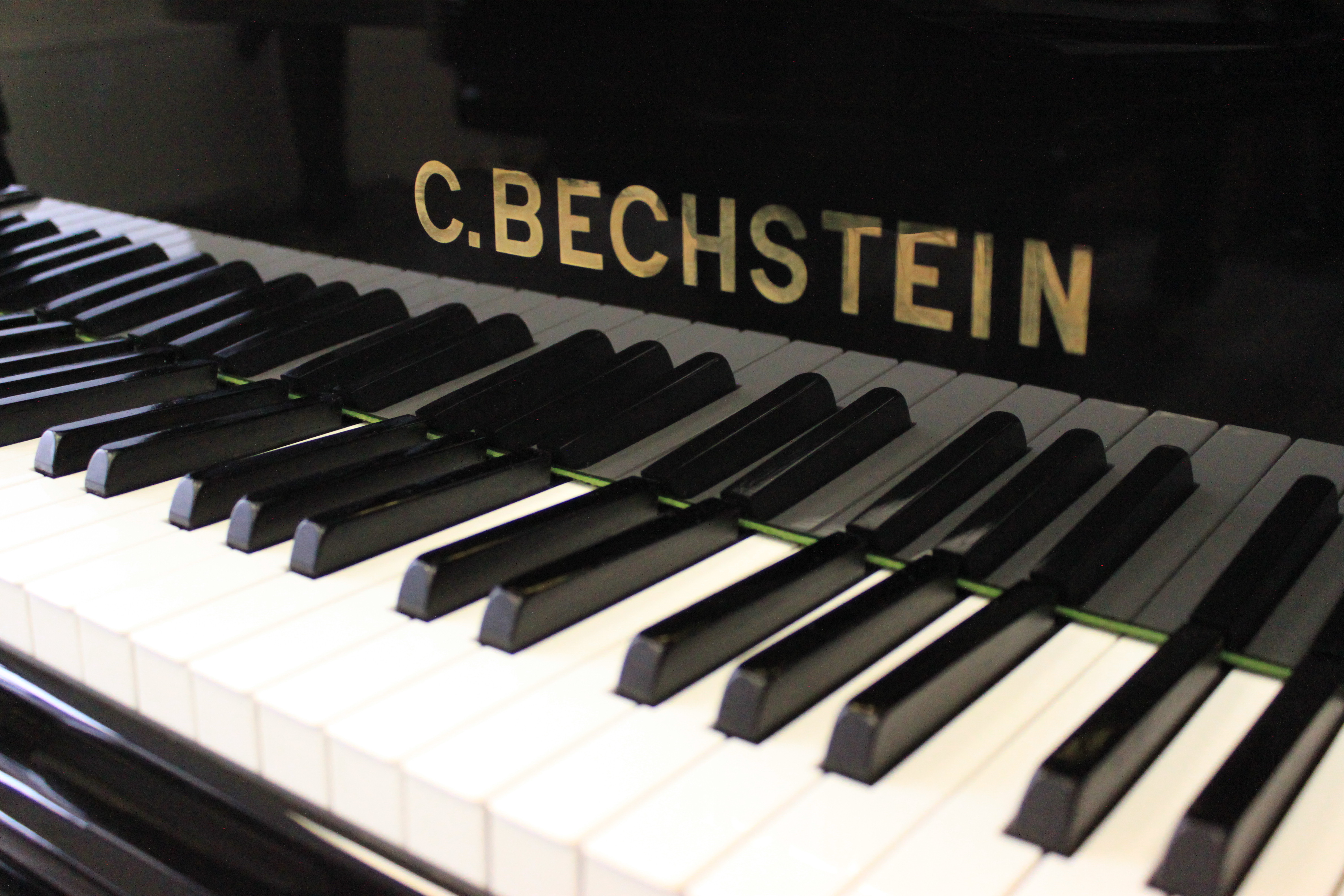 Вид клавиатуры К. Бехштейн