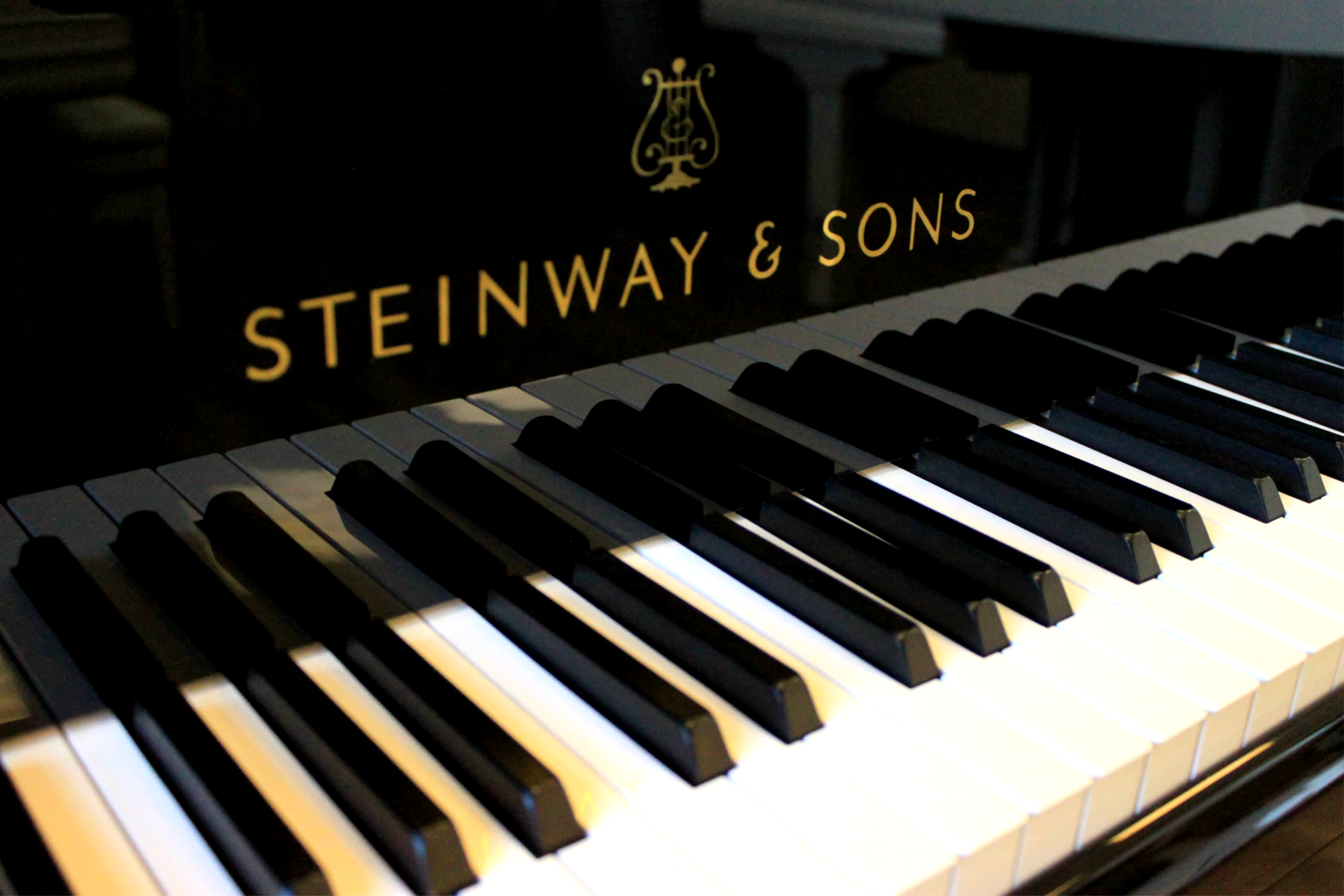 Стейнвей энд санс