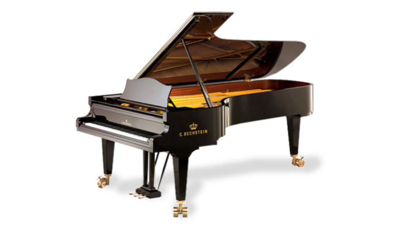 C. Bechstein 282