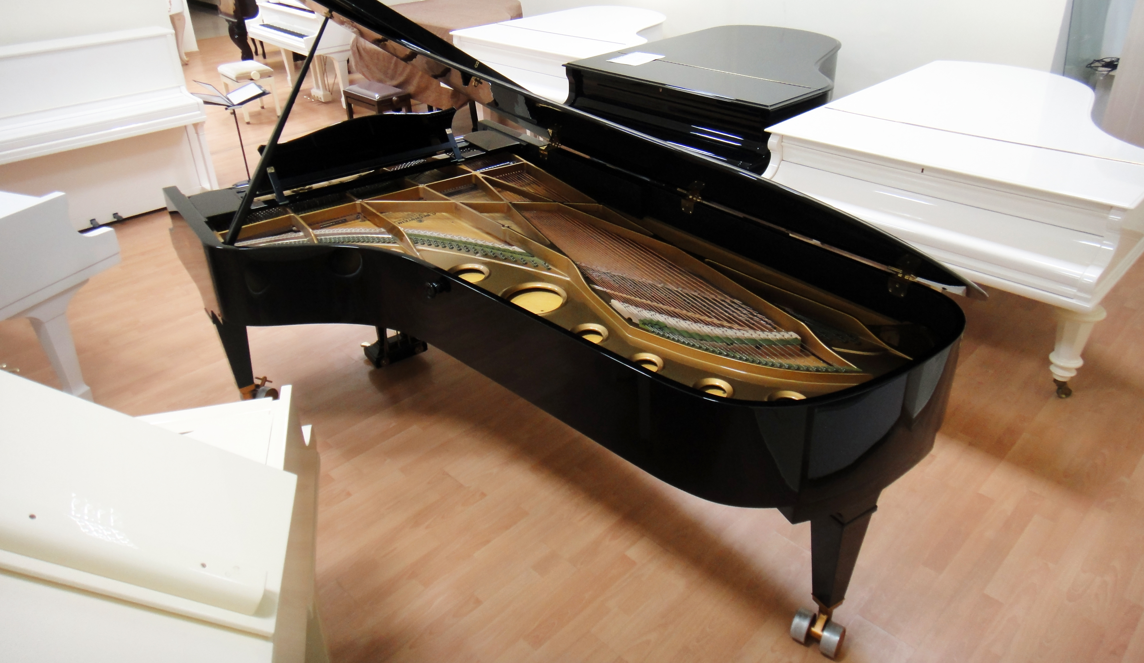 C. Bechstein 282
