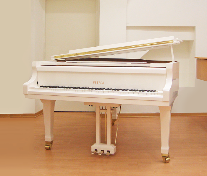 Вид спереди